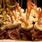 De tapas por Sevilla