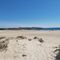 Playa y cine de verano en cadiz