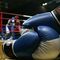 Pachangas de Boxeo!  )