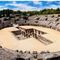 Visita guiada a Italica  y San Isidoro del Campo