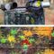 Paintball