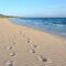excursión a la playa en autobús desde sevilla