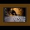 07/05/2017 Excursion Visita a Cueva.