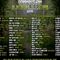 Festival internacional de musica trance-  Conecction festival 2015- San nicolas del puerto sevilla!!