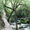 Sendero Rio Majaceite - Parque Natural Sierra de Grazalema