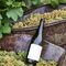 Catas de vinos naturales