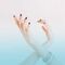 Taller de Magia Personal -Aprende a Crear tu Realidad Paso a Paso-