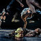 vamos a ver un espectáculo de danza contemporánea?