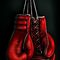 Busco compañero/a/os/as para practicar boxeo