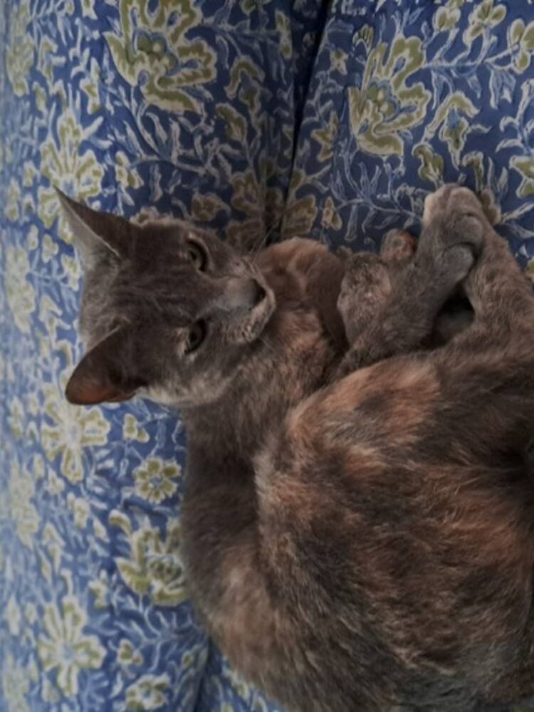 Foto de perfil de Isabel