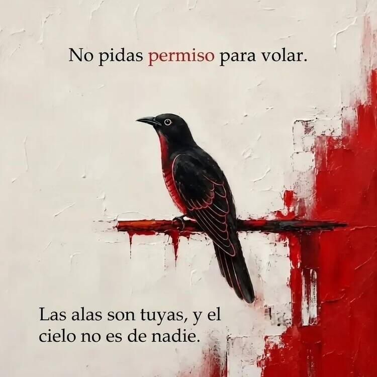 Foto de perfil de José Antonio