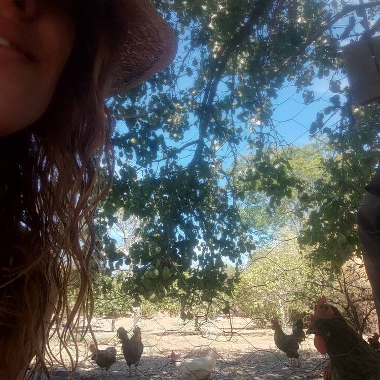 Foto de perfil de Lola41