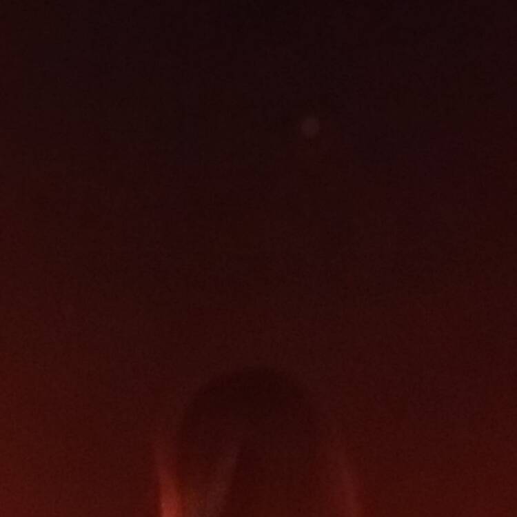 Foto de perfil de Maria