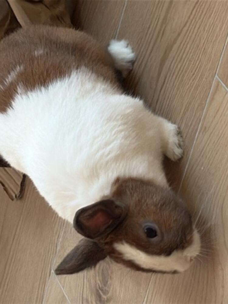 Foto de perfil de Tamara