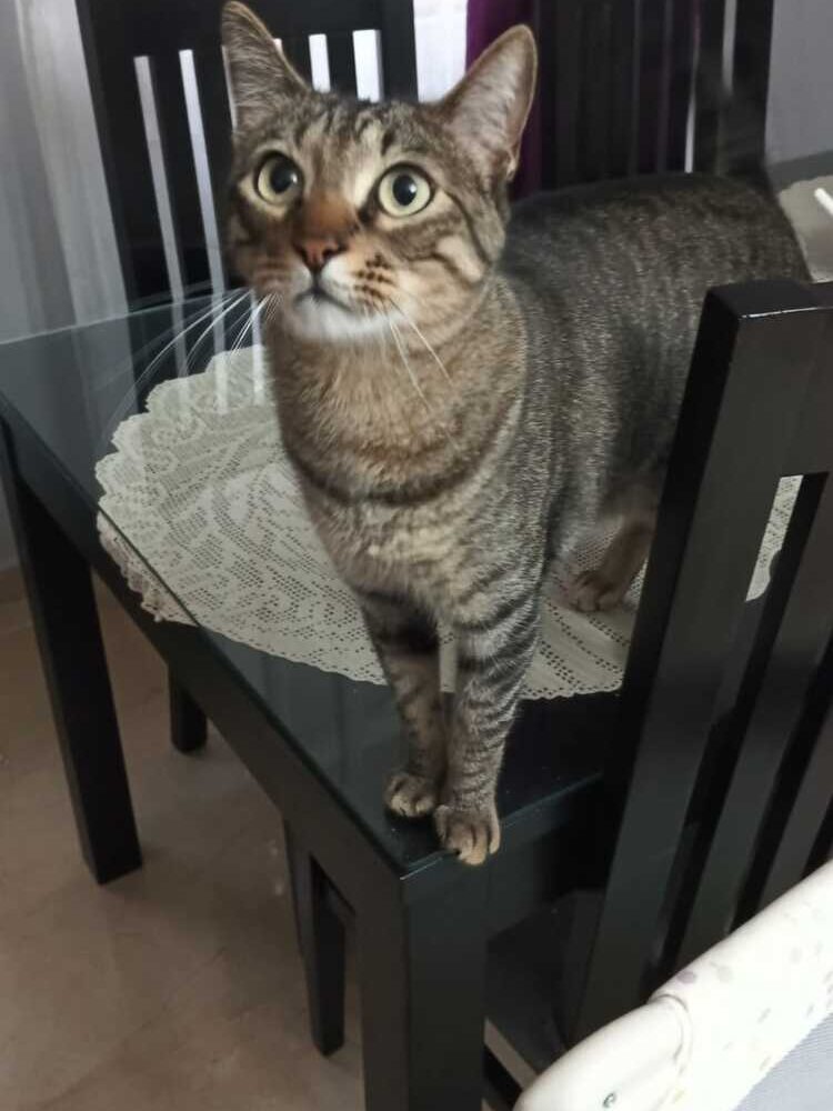 Foto de perfil de Emilio