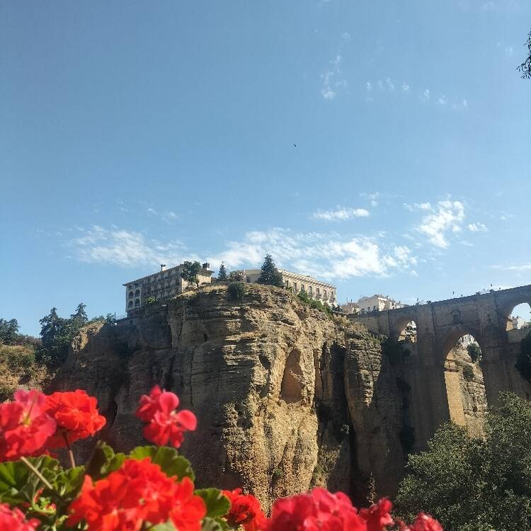 Foto de perfil de Laura