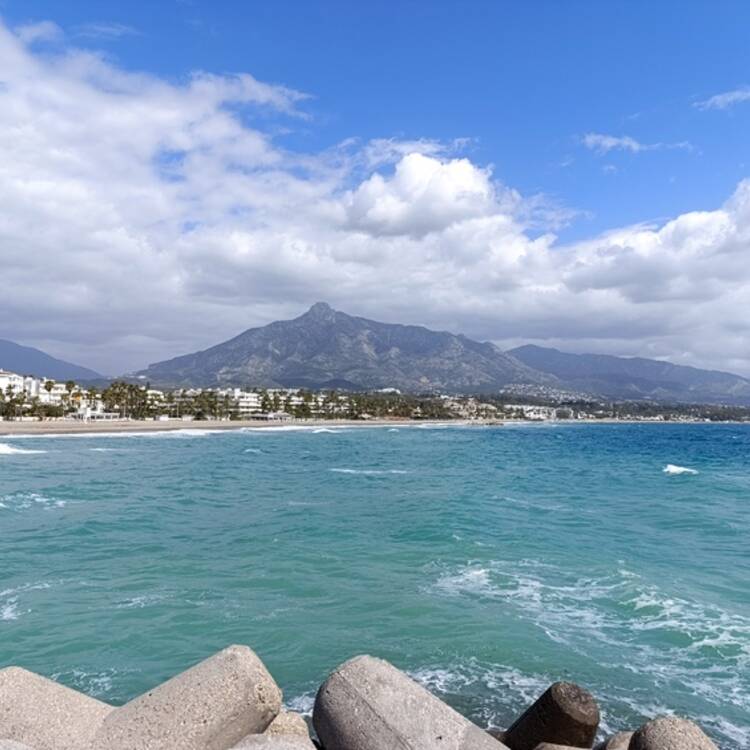 Foto de perfil de JORGE MANUEL