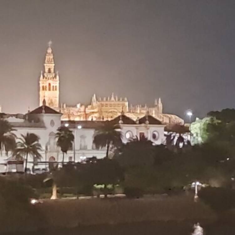 Foto de perfil de Francisco