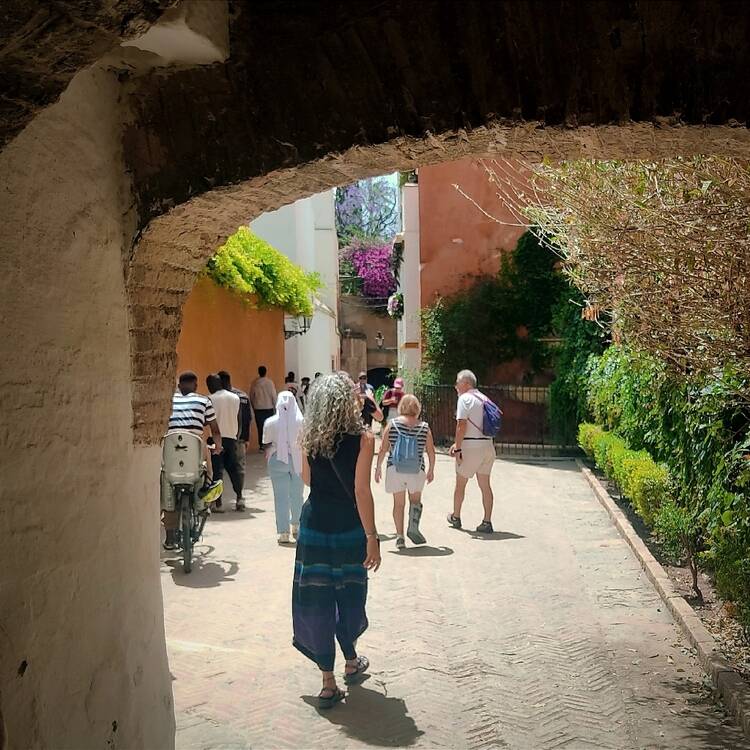 Foto de perfil de Maria