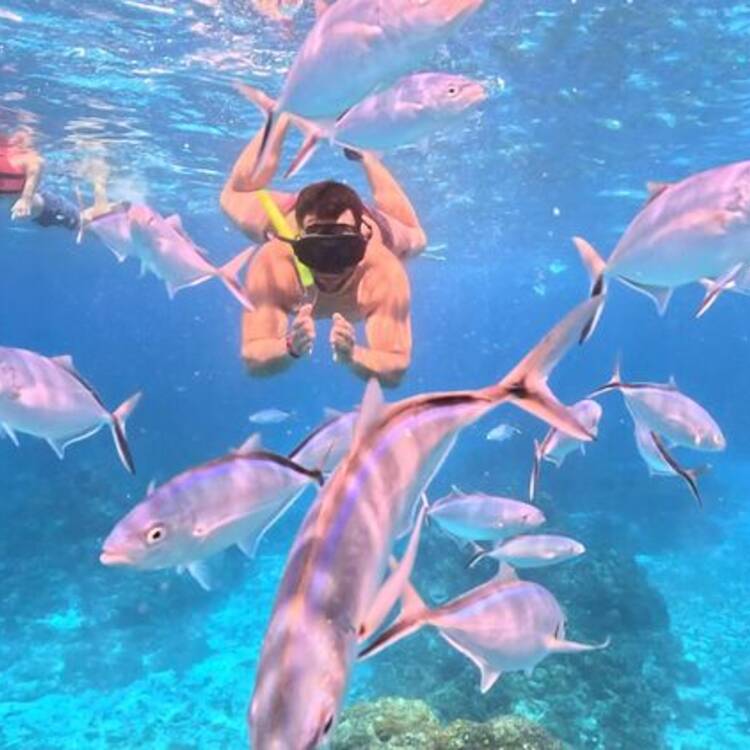 Foto de perfil de Antonio José