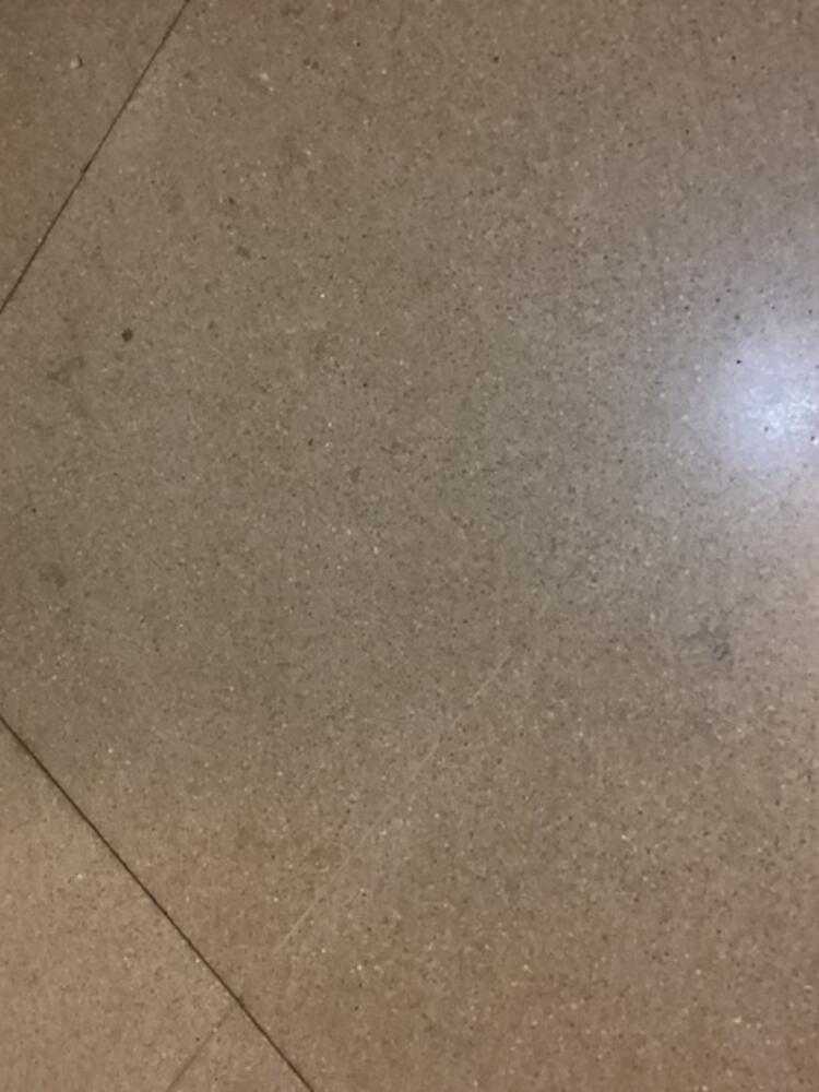 Foto de perfil de Cándido