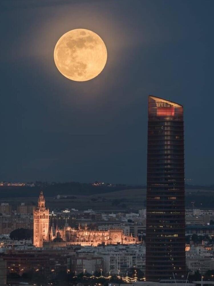 Foto de perfil de Javier