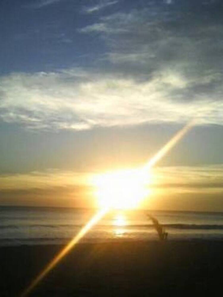 Foto de perfil de Jesus