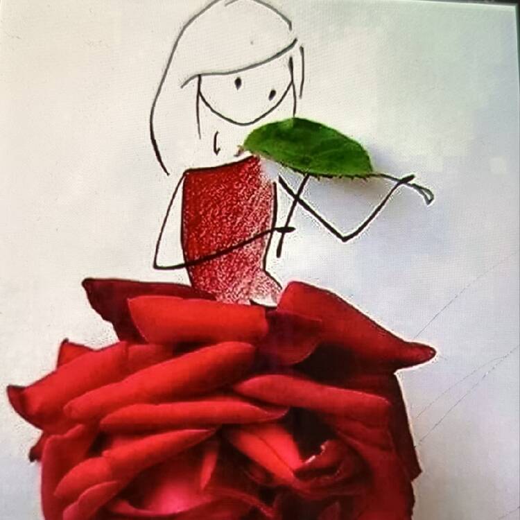 Foto de perfil de Roma