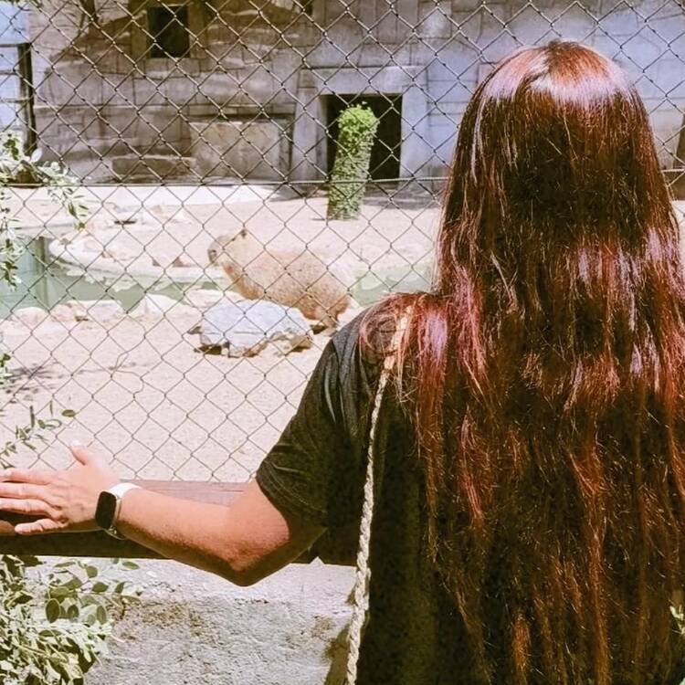 Foto de perfil
