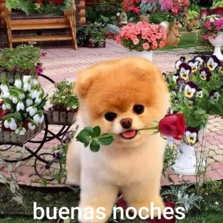 Foto de perfil de Joaquín