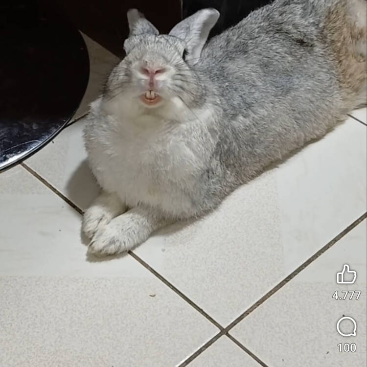 Foto de perfil de Nieves