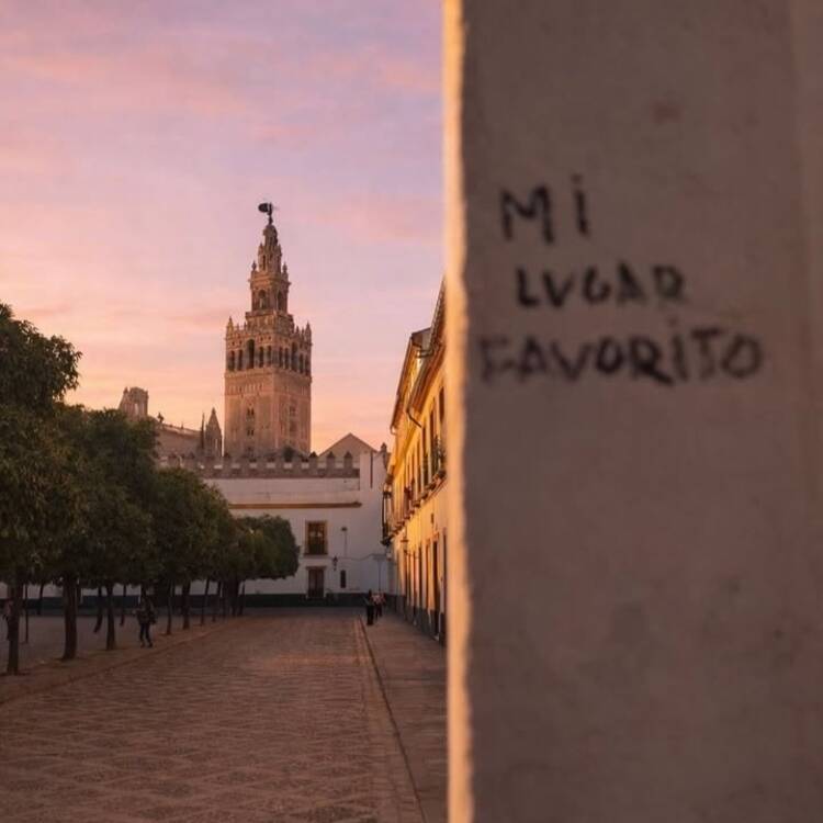 Foto de perfil de Rocio