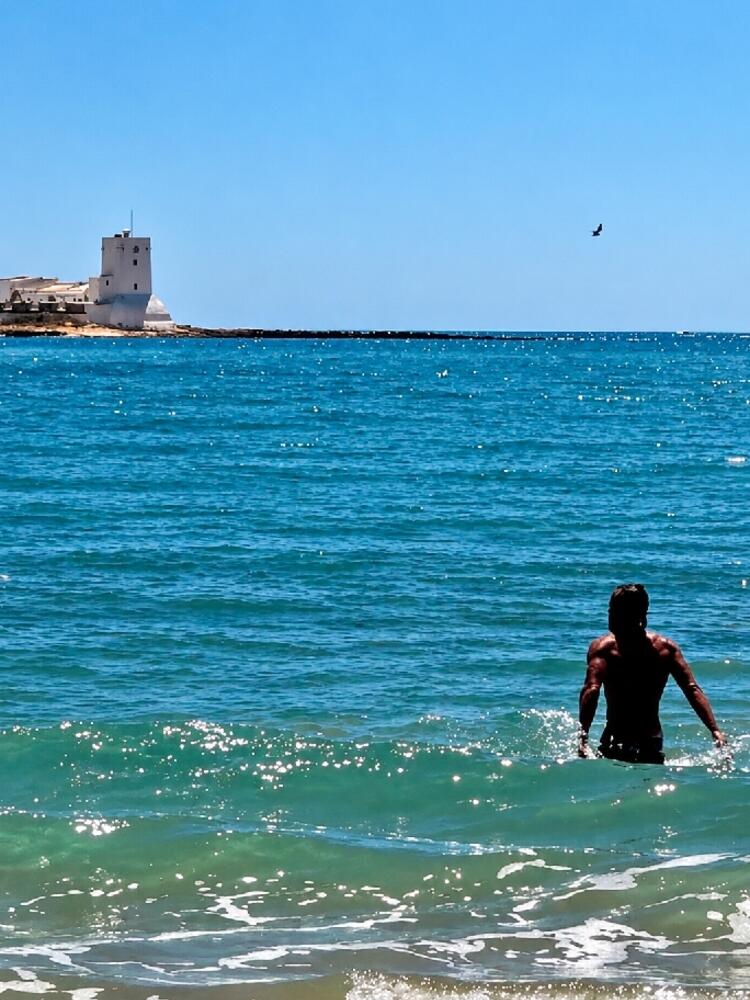 Foto de perfil de Jose