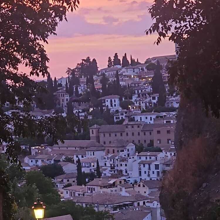 Foto de perfil de Alejandra