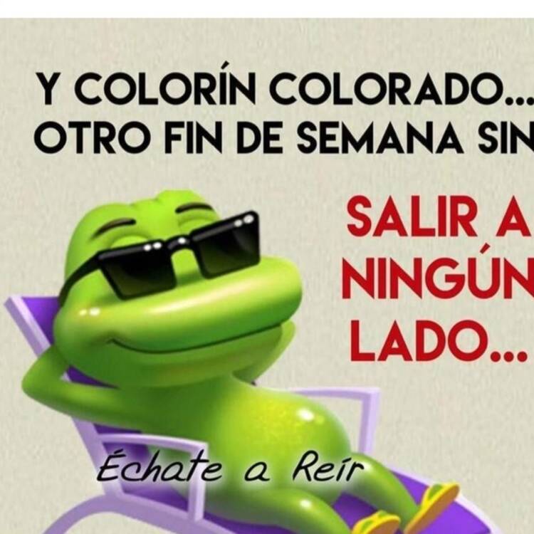 Foto de perfil de Maria