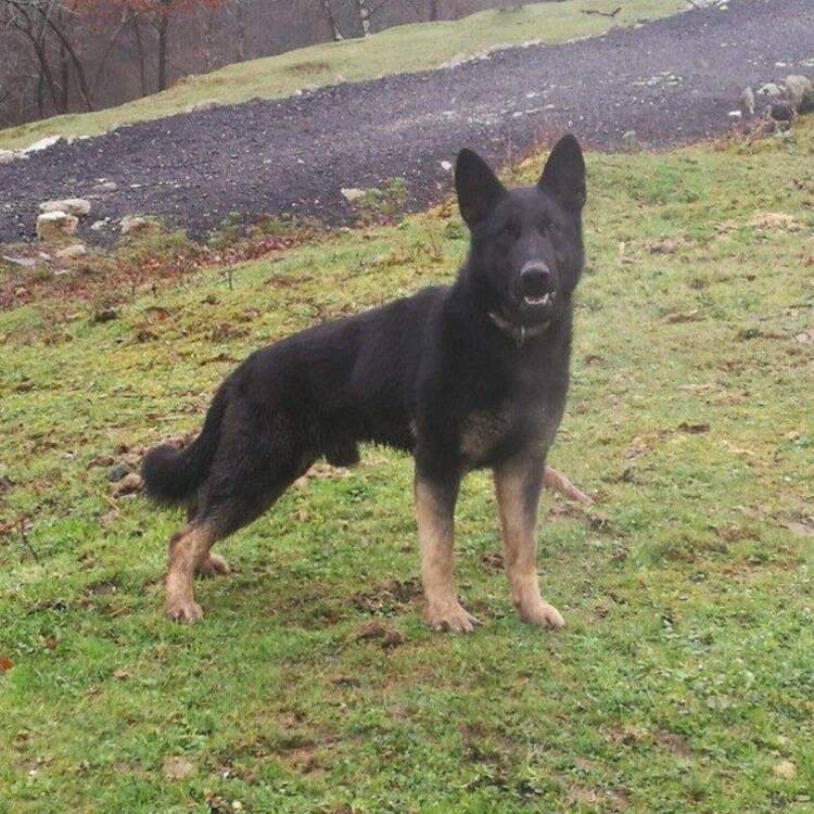 Foto de perfil de Carlos