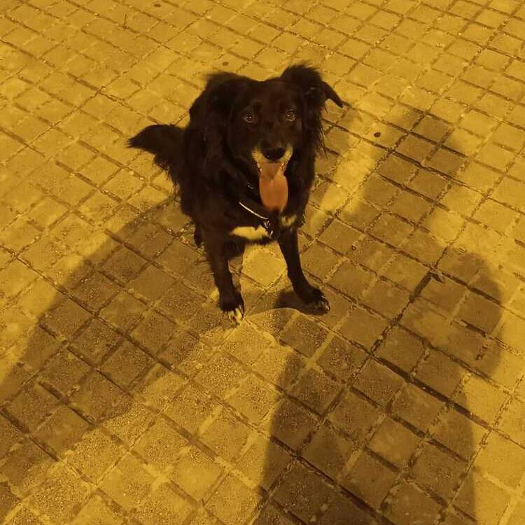 Foto de perfil de Azahara