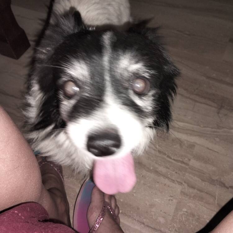 Foto de perfil de Laura