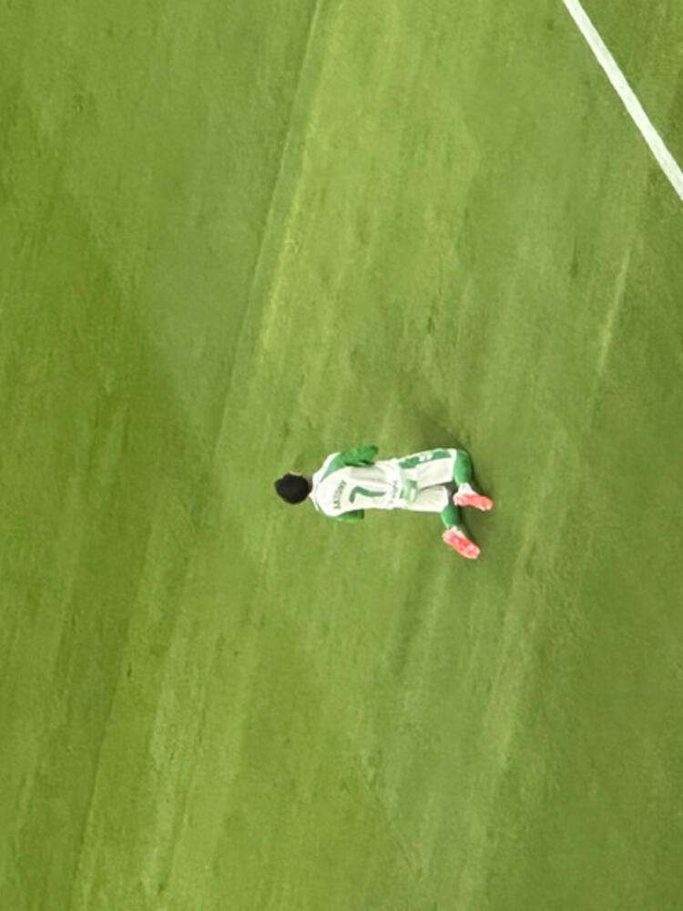 Foto de perfil de Beltrán