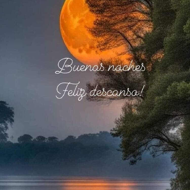 Foto de perfil de Patri