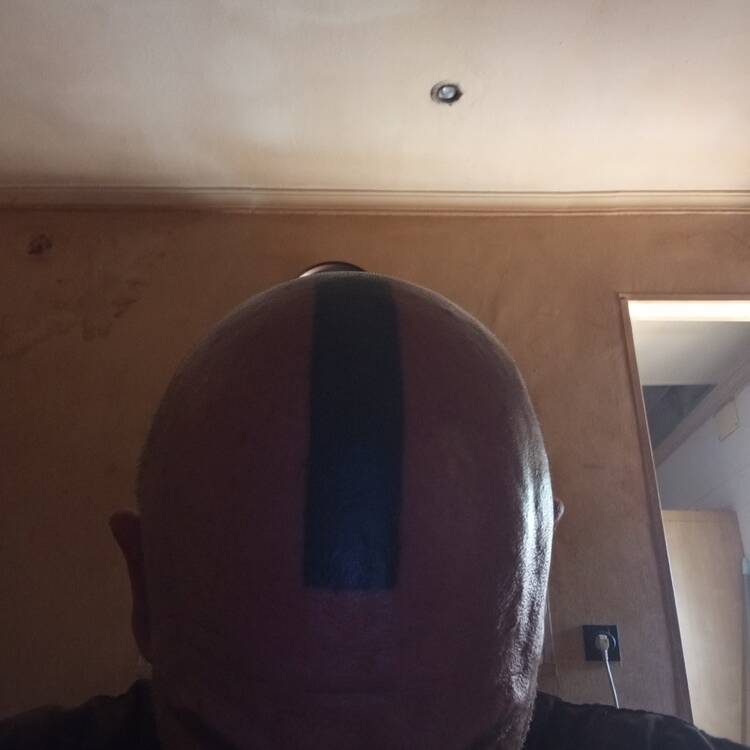 Foto de perfil de José Carlos