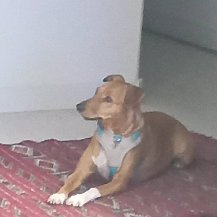 Foto de perfil de Virginia