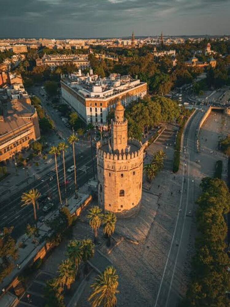 Foto de perfil de Fran