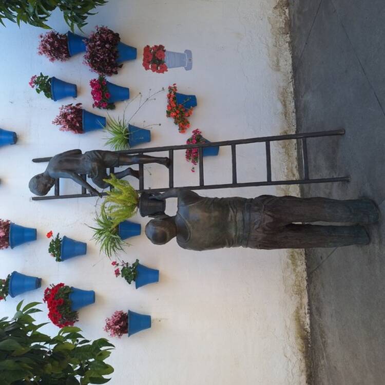 Foto de perfil de Vero