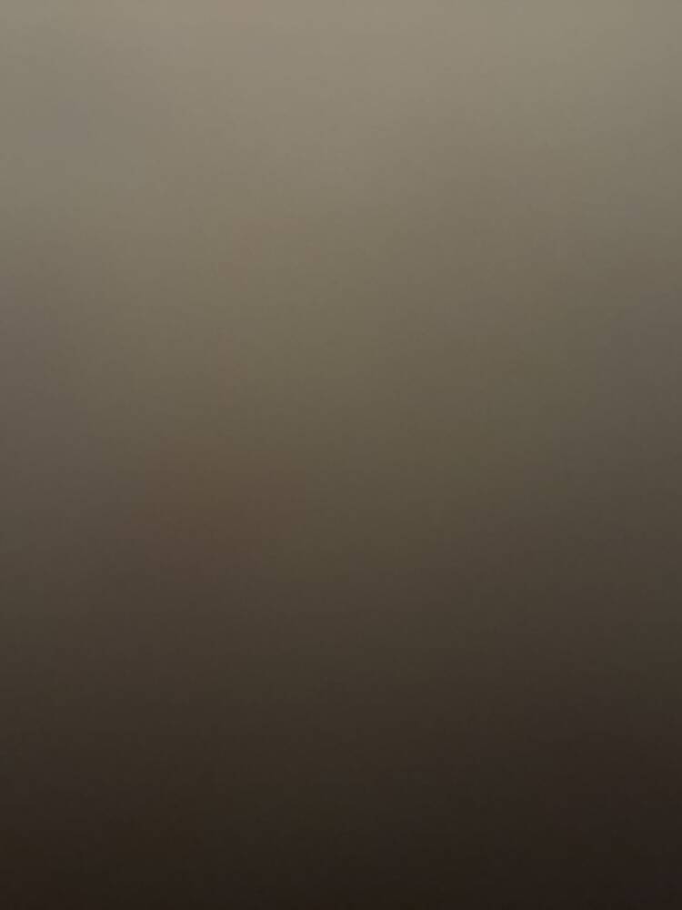 Foto de perfil de David