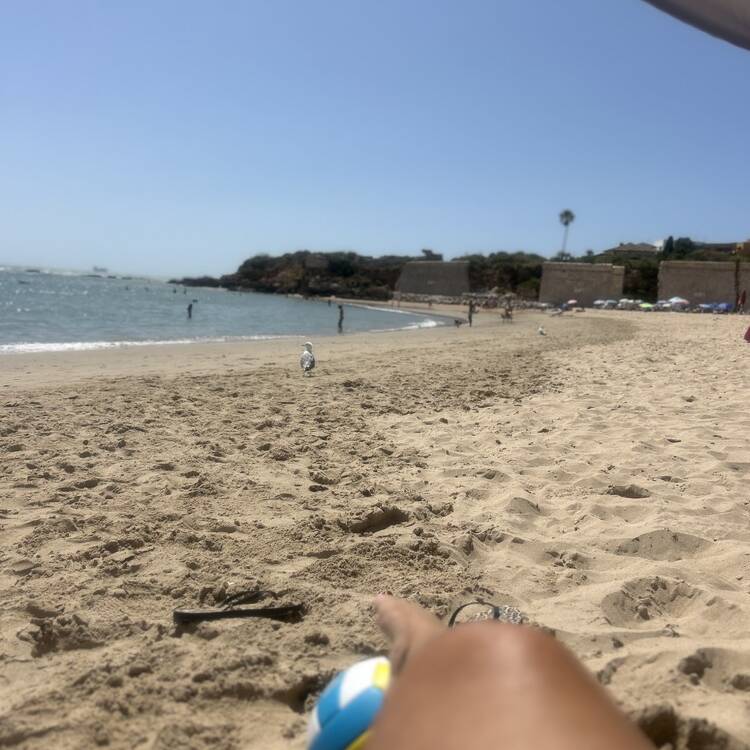 Foto de perfil de Beatriz