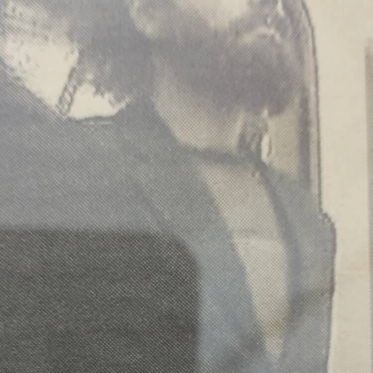 Foto de perfil de Ferro