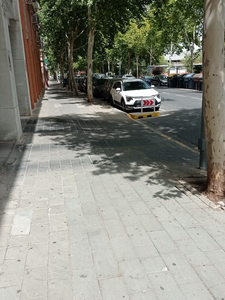Foto de perfil de Jorge