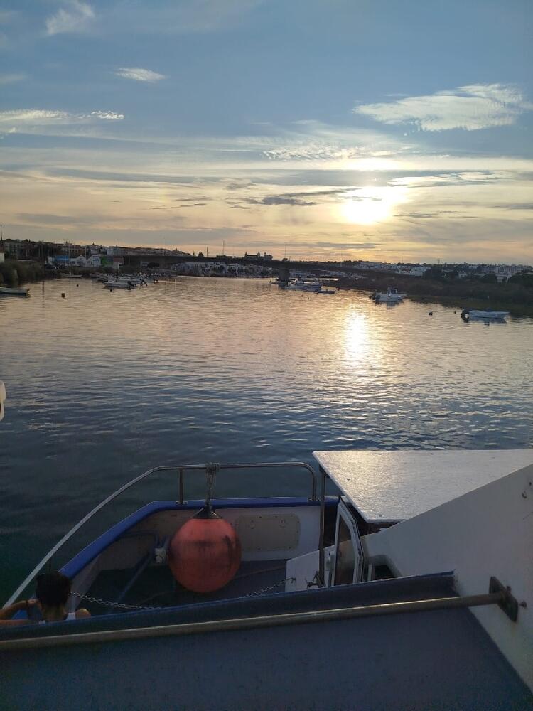 Foto de perfil de Verónica