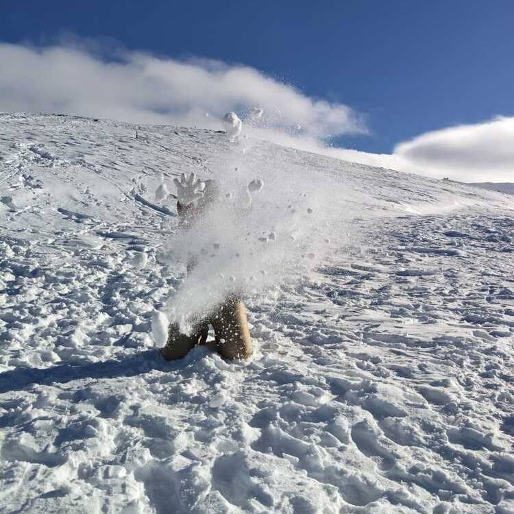 Foto de perfil de Cristina